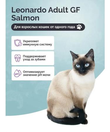 Leonardo Cat Food Cat food for dry bezernal salmon Leonardo 1.8 kg - Buy Online on GoSupps.com