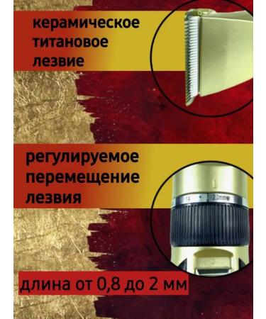 Remington Carrying machine. Trimmer - Buy Online on GoSupps.com