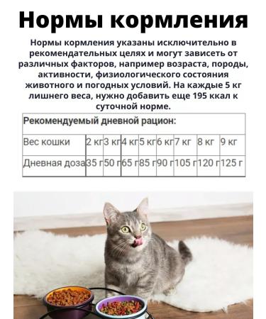 Primordial Primordial Dry food for cats with urolithiasis 6 kg - Buy Online on GoSupps.com
