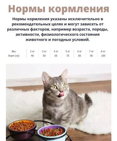 Trainer cat food Dry food for sterilized cats - Buy Online on GoSupps.com