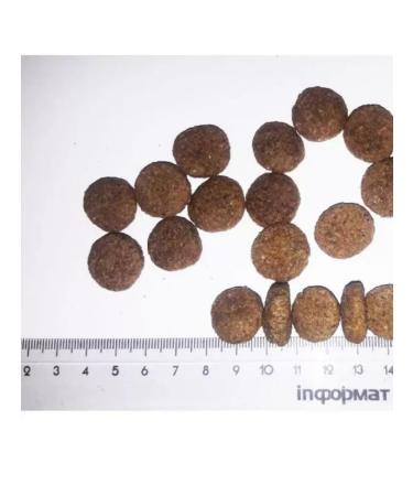 Vivere Viver Dry food for adult dogs of medium and large rocks 12 kg - Buy Online on GoSupps.com