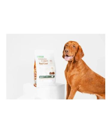 Nature's Protection Dry food for dogs NP Red Coat Grain Free Lamb 10 kg - Buy Online on GoSupps.com