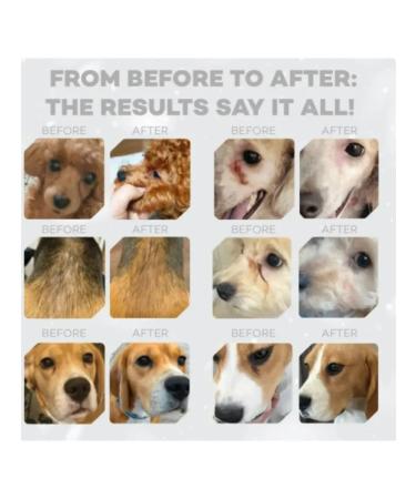 Nature's Protection Dry food for dogs NP Red Coat Grain Free Lamb 10 kg - Buy Online on GoSupps.com