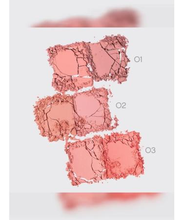 VIVIENNE SABO Palette blush for face Naturel tone 03 peach - Buy Online on GoSupps.com