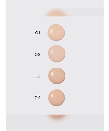 VIVIENNE SABO Cream Tonal Shake Foundation tone 01 light beige - Buy Online on GoSupps.com