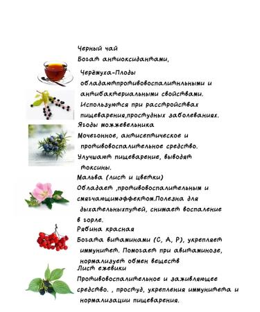 BREWING STYLE Gift tea "Taiga berries" 100 g - Buy Online on GoSupps.com