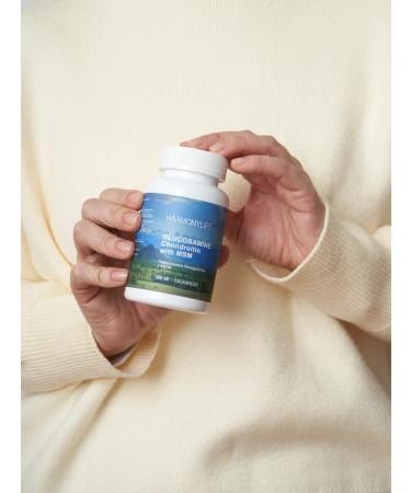 HarmonyLife Glucosamine chondroitin MSM for joints 120 capsules - Buy Online on GoSupps.com