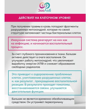 ZooLab Quick recovery after injuries for horses 50 ml - Buy Online on GoSupps.com