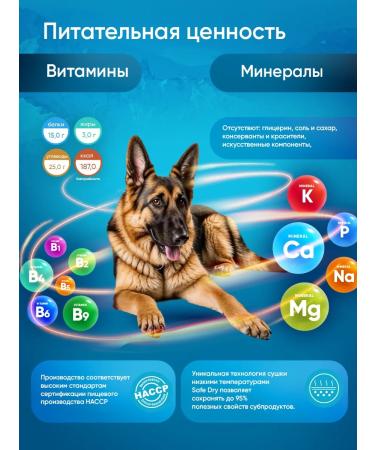 PetSoul Treats for dogs sticks lung beef 350 g - Buy Online on GoSupps.com