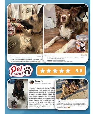 PetSoul Treats for dogs sticks lung beef 350 g - Buy Online on GoSupps.com