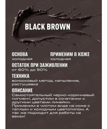 AS COMPANY BY ALINA SHAKHOVA As Black Brown Shahova Pigment hybrid for eyebrows 12ml - Buy Online on GoSupps.com