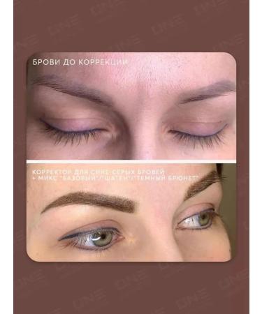 AS COMPANY BY ALINA SHAKHOVA Shakhova corrector of the tattooing of blue-gray eyebrows hybrid 6ml - Buy Online on GoSupps.com