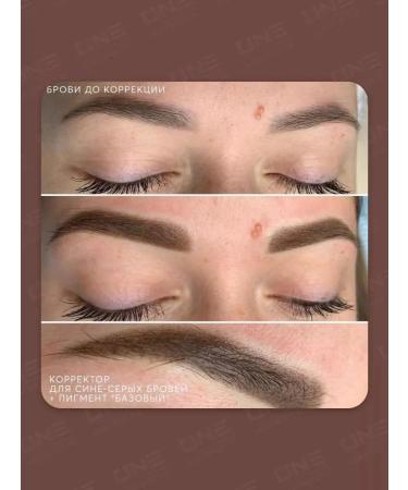 AS COMPANY BY ALINA SHAKHOVA Shakhova corrector of the tattooing of blue-gray eyebrows hybrid 6ml - Buy Online on GoSupps.com