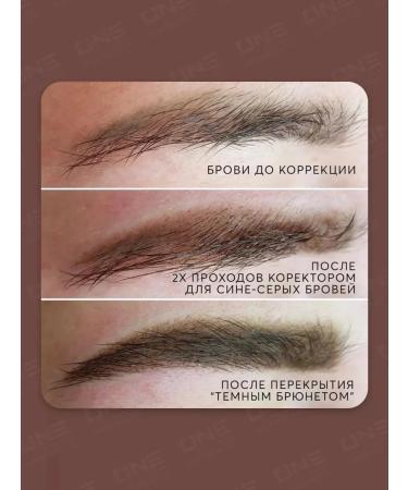 AS COMPANY BY ALINA SHAKHOVA Shakhova corrector of the tattooing of blue-gray eyebrows hybrid 6ml - Buy Online on GoSupps.com