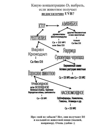 Food Farm Calcium with an average content of D3 number 2 100g - Buy Online on GoSupps.com