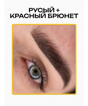 AP GROUP NYSE No. 6 Mineral pigment for eyebrows of the eyelids Brunet N.Y.S.E - Buy Online on GoSupps.com