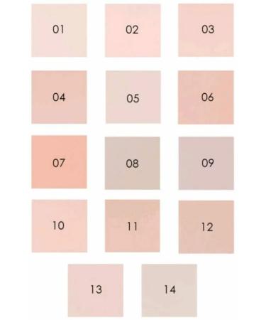 ffleur Compact powder for face tone # 10 - Buy Online on GoSupps.com