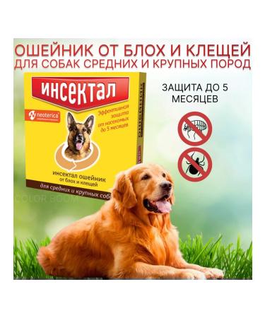 Neoterica An insectal collar for medium and large dogs 65 cm