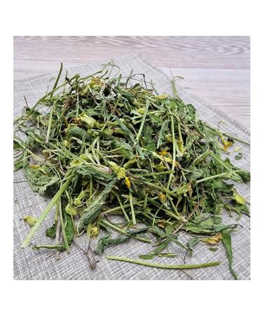 Spring primrose 250 g - Buy Online on GoSupps.com