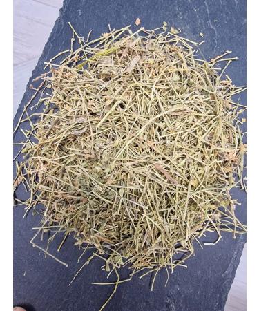 Eyebright herb 200 gr - Buy Online on GoSupps.com