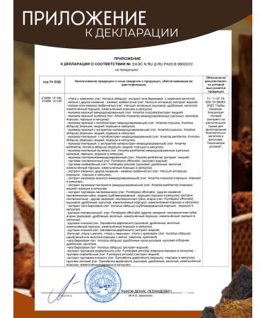 CHAGA FOOD Water -based fluid extract 12 1 250 ml - Buy Online on GoSupps.com