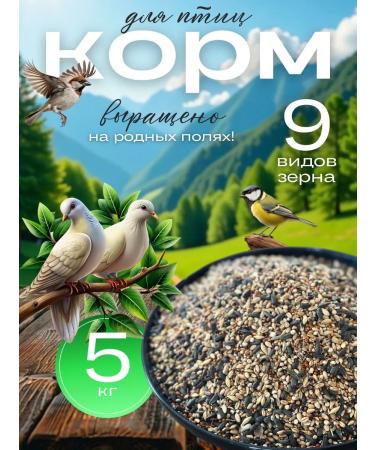 well-fed bird food for street birds