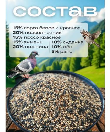 well-fed bird food for street birds - Buy Online on GoSupps.com