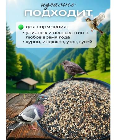 well-fed bird food for street birds - Buy Online on GoSupps.com
