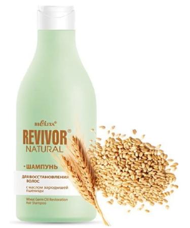 BIELITA Hair restoration shampoo 500ml - Buy Online on GoSupps.com