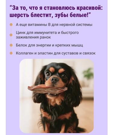 Canezeta Lips beef treats for dogs - Buy Online on GoSupps.com