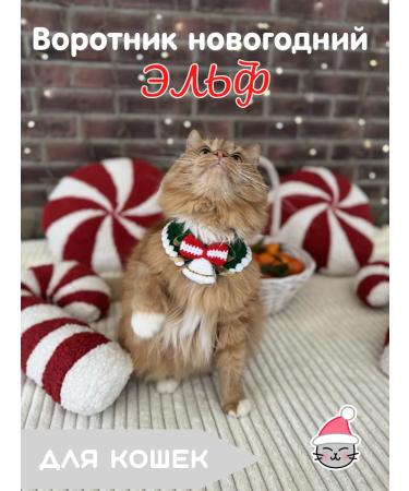 LULU Che Collar for cats New Year "Elf"