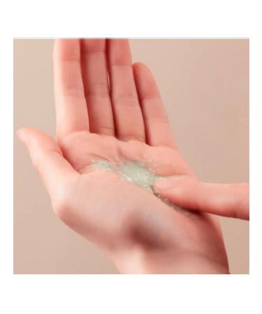 Fraijour Enzyme powder vegetable Original Wormwood Enzyme - Buy Online on GoSupps.com