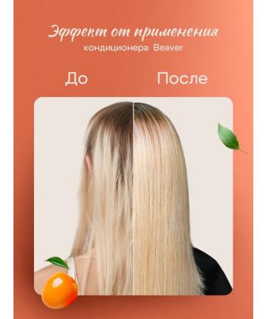 Beaver Air conditioner for dyed hair Professional 768 ml - Buy Online on GoSupps.com