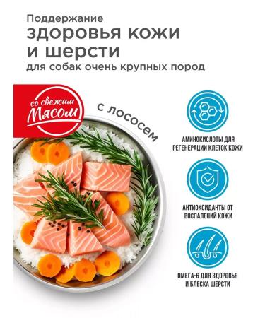 Quattro Feed for large dogs with salmon 12 kg for skin and wool - Buy Online on GoSupps.com