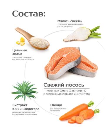 Quattro Feed for large dogs with salmon 12 kg for skin and wool - Buy Online on GoSupps.com