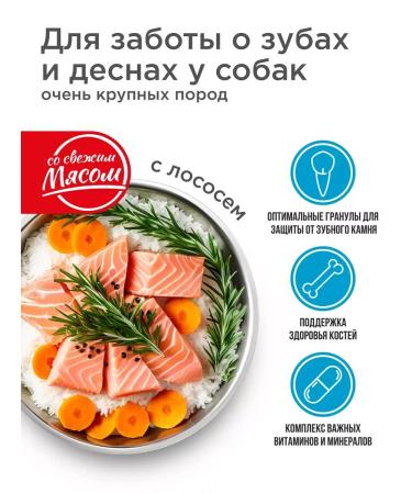 Quattro Feed for very large dogs with salmon 12 kg for teeth - Buy Online on GoSupps.com