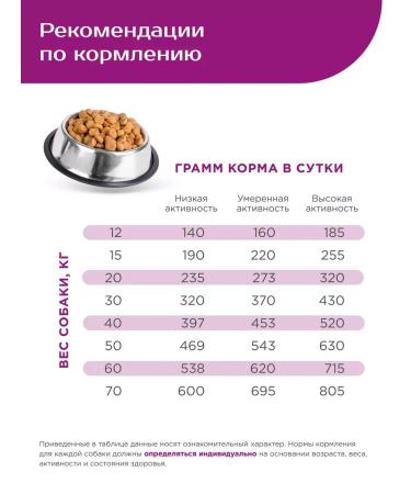 Quattro Feed for large dogs balanced with beef 12 kg - Buy Online on GoSupps.com