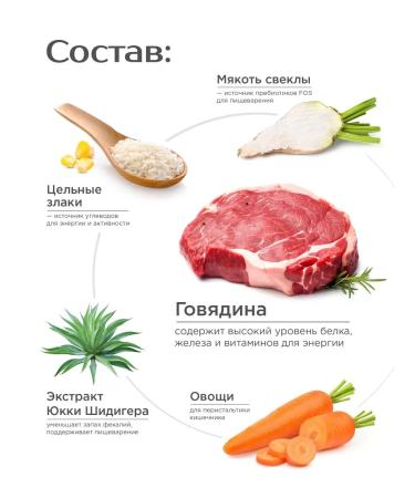 Quattro Feed for medium breeds of dogs with beef 12 kg for the village - Buy Online on GoSupps.com