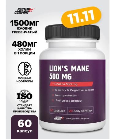 PROTEINCOMPANY Ezhovik crested + choline Lion's Mane 500 mg 60 cap
