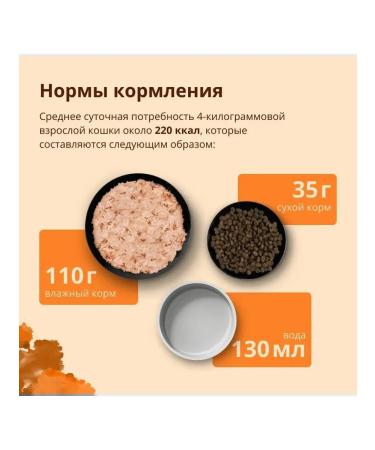 Almo Nature Dry Holistic Life Maintenance for cats chicken 2 kg - Buy Online on GoSupps.com