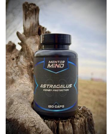 Mentor Mind Astragalus astral root extract 120k