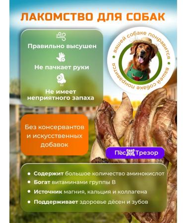 Trezor the Dog Dog's goodies Bull root 100 g - Buy Online on GoSupps.com