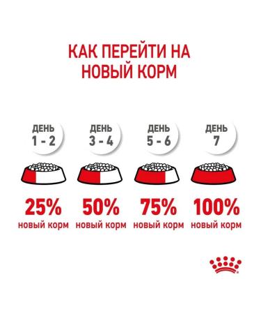 ROYAL CANIN Kitten dry food for kittens from 4 to 12 months 2kg - Buy Online on GoSupps.com