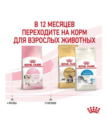 ROYAL CANIN Kitten dry food for kittens from 4 to 12 months 2kg - Buy Online on GoSupps.com