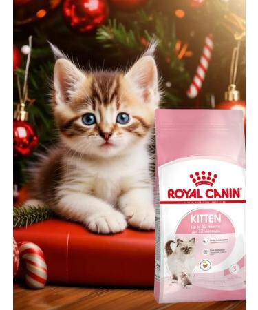 ROYAL CANIN Kitten dry food for kittens from 4 to 12 months 2kg - Buy Online on GoSupps.com