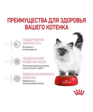 ROYAL CANIN Kitten dry food for kittens from 4 to 12 months 2kg - Buy Online on GoSupps.com