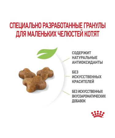 ROYAL CANIN Kitten dry food for kittens from 4 to 12 months 2kg - Buy Online on GoSupps.com