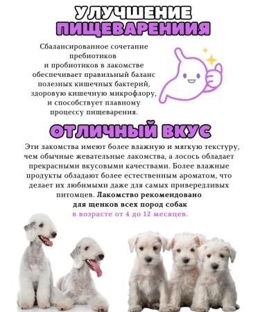 Nature's Protection Chewing treats for puppies and young dogs - Buy Online on GoSupps.com