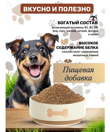 Light beef ground 100 grams - Buy Online on GoSupps.com