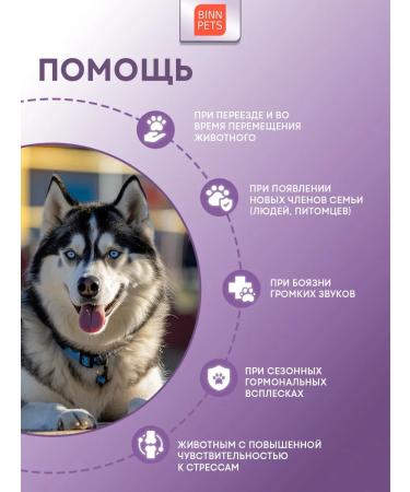 BINN PETS Collagen for dogs additive Vetaptekttek Extreme Support - Buy Online on GoSupps.com